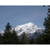 Lynne Moore's photo