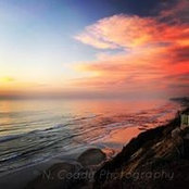 Natasha Coady's photo