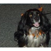 Beverly Conner's photo