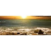 Zarka Malik's photo