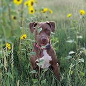 Jennifer Thomas's photo