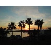 Ruth Jolley's photo