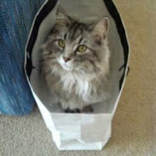 Kevin B's photo