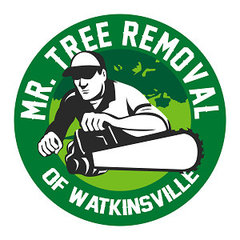 Mr. Tree Removal of Watkinsville