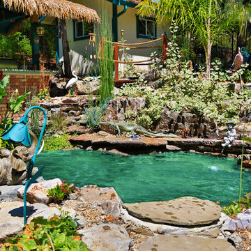 Jungle Land
