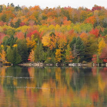 Colors of nature