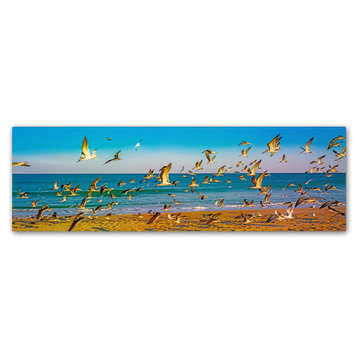 'Florida Beach Birds' Canvas Art by Preston
