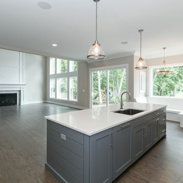 Modified Parker IV with Full In-Law Suite and Kitchenette | Naperville, IL