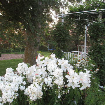Beth's Garden 2014