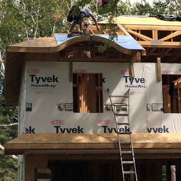 Eyebrow dormers - Edina, Minnesota