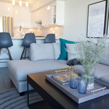 Contemporary Living Room