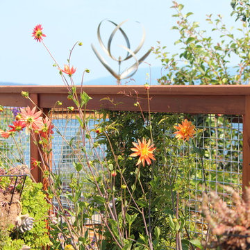 Anacortes Wa backyard