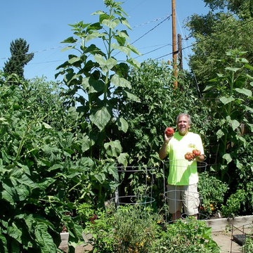 Huge Nevada Garden With Full Circle