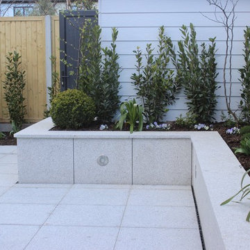 Contemporary Urban Garden