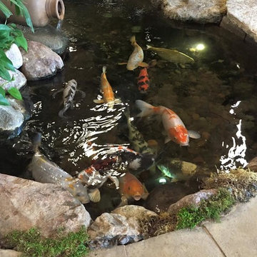 Ponds and Water Features