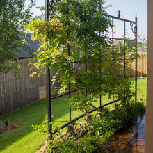 Landscape Ideas