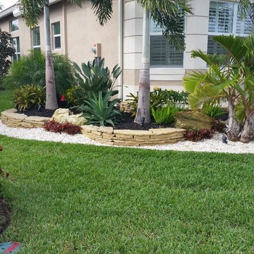 Palms