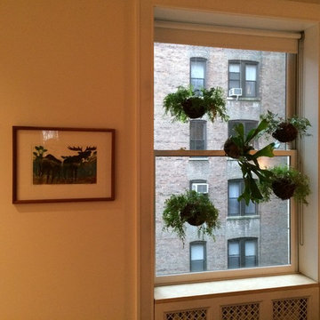Plant sculptures - West 98th Street, NY