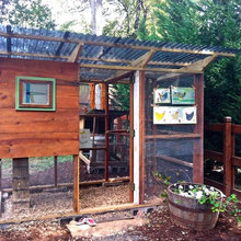 chicken Coop