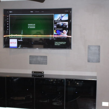 Wood Dale Home Entertainment Center Remodel with In Wall Speakers
