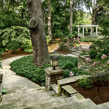Front yard
