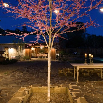 Sonoma Barn