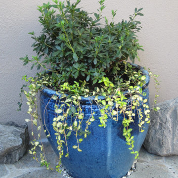 POTS IN THE LANDSCAPE