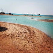 Esraa Osama's photo