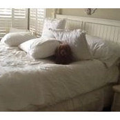 Berta McCarthy-Zablan's photo