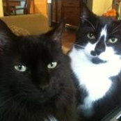 Christelle Bruneau's photo