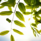 Tran Hoang's photo