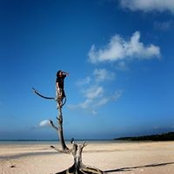 Timothy O'Malley's photo