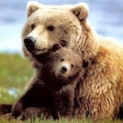 Miriam Barber's photo