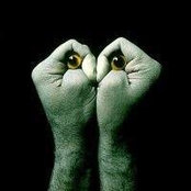 Riccardo Pistilli's photo