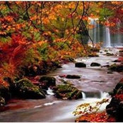 Catherine Johnson's photo