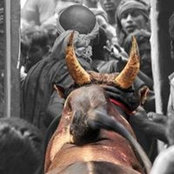 Foto von Mithran Murali