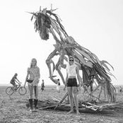 Nikita Livanos's photo