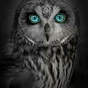 Foto von Andrea Rooks