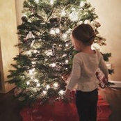 Christian Swan's photo