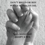 Mia Kalish's photo