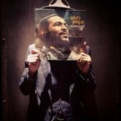 Sonny Daze's photo