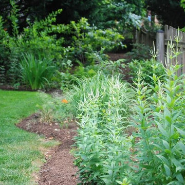 City Backyard Garden | Falls Church VA