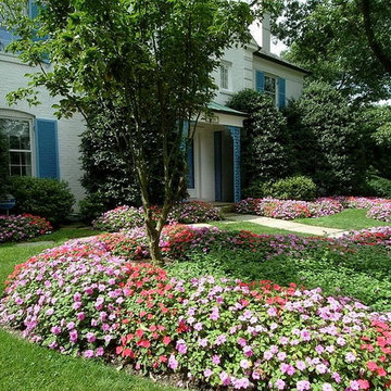 Transitional Landscape