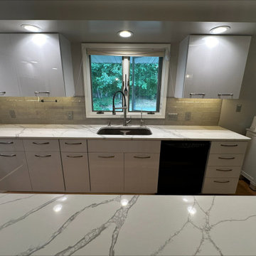 Amazing Contemporary Kitchen Remodel Done with Cabinet Refacing