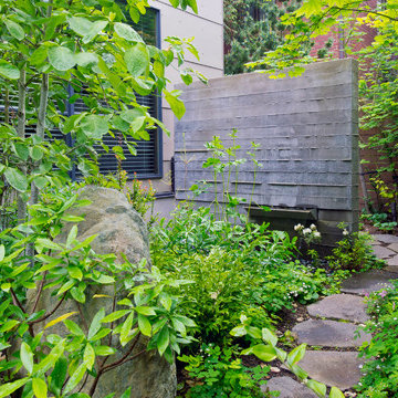 Madison Park Landscape Renovation