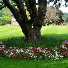 landscape ideas