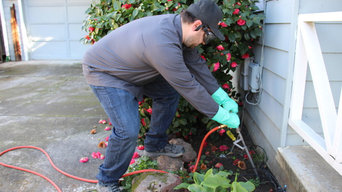 Termite Inspection Sunnyvale