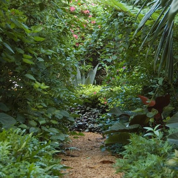 Miami Landscape Design Ideas