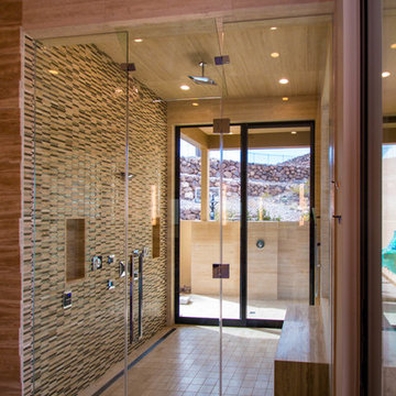 Dual Entry Frameless Shower Door Enclosure System
