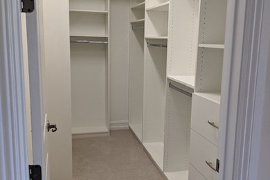 Inspiration for a small contemporary walk-in wardrobe for women in Other with flat-panel cabinets, white cabinets and carpet.